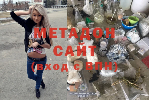 прущие грибы Снежногорск