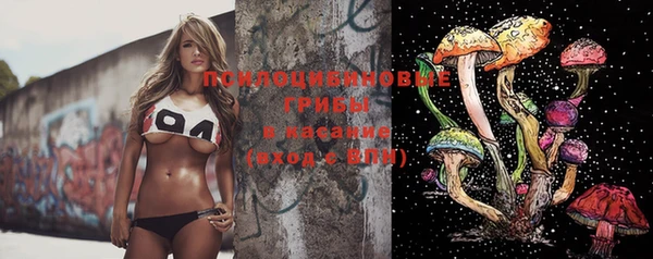 герыч Снежинск