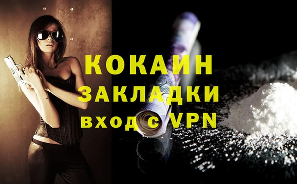 прущие грибы Снежногорск